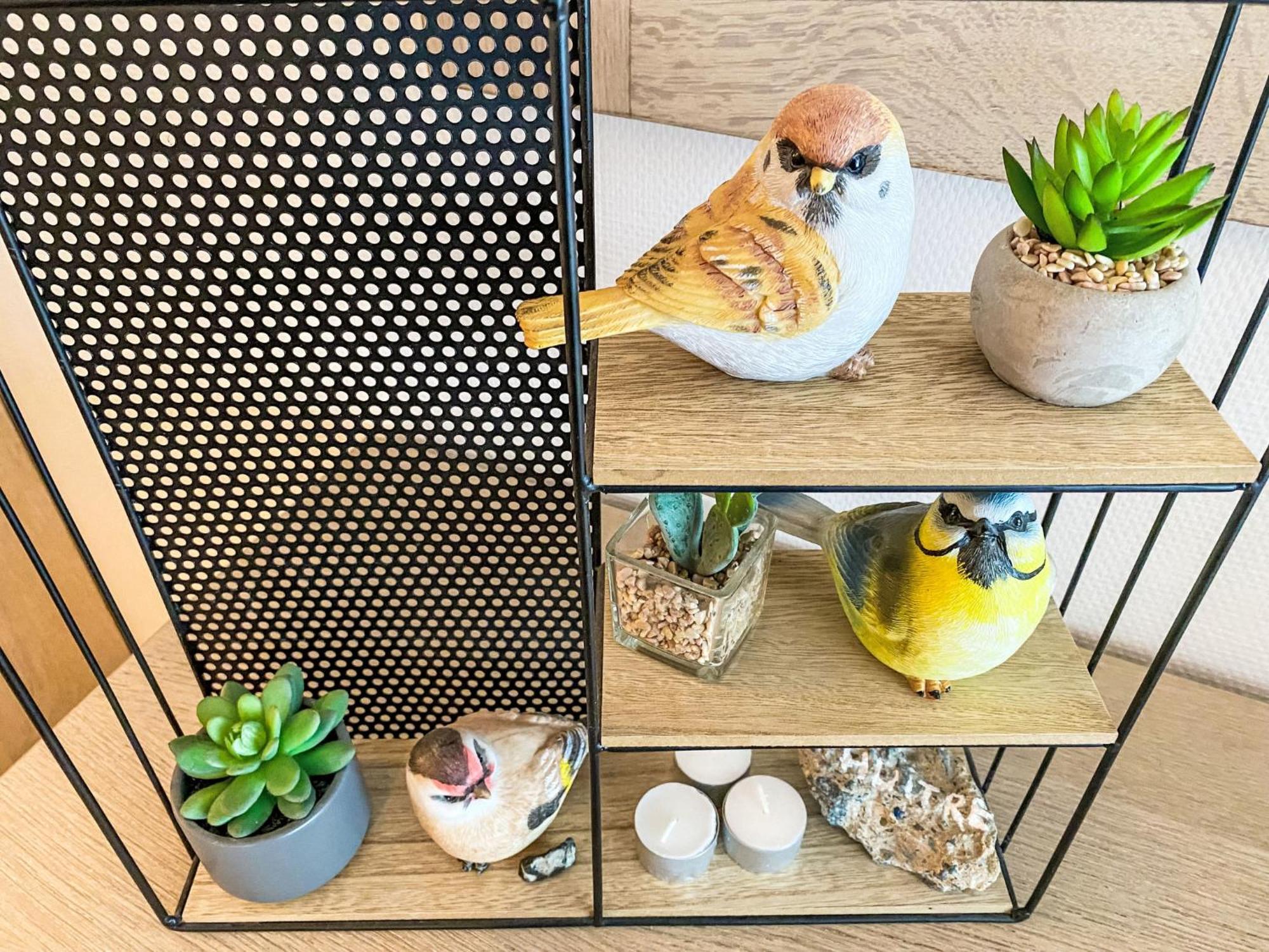 Apartment Residentie Astrid-7 By Interhome ブレーデネ エクステリア 写真